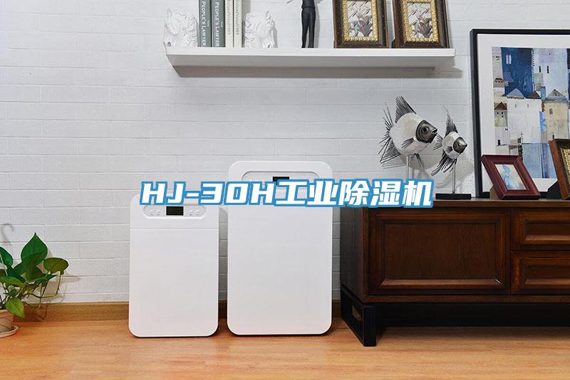 HJ-30H工业猫咪成人官网