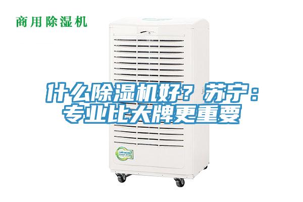 什么猫咪成人官网好？苏宁：专业比大牌更重要