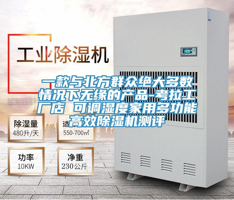 一款与北方群众绝大多数情况下无缘的产品-考拉工厂店 可调湿度家用多功能高效猫咪成人官网测评