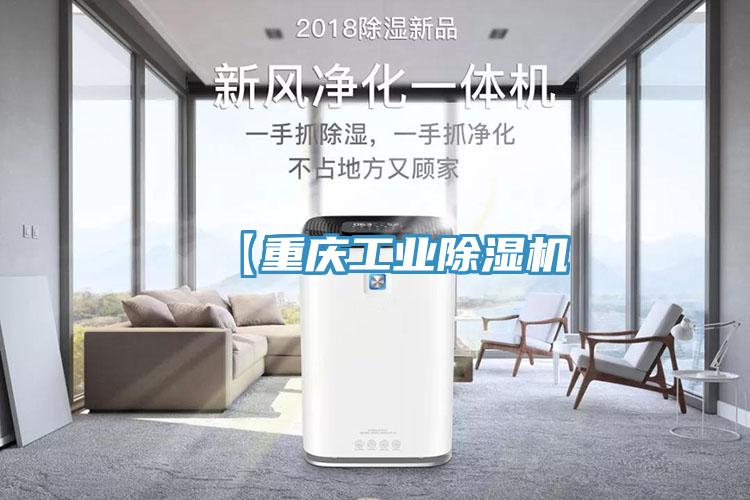 【重庆工业猫咪成人官网