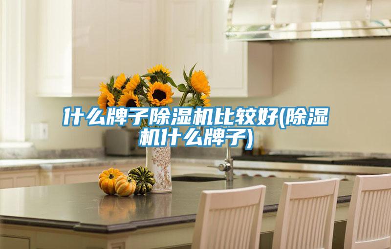什么牌子猫咪成人官网比较好(猫咪成人官网什么牌子)