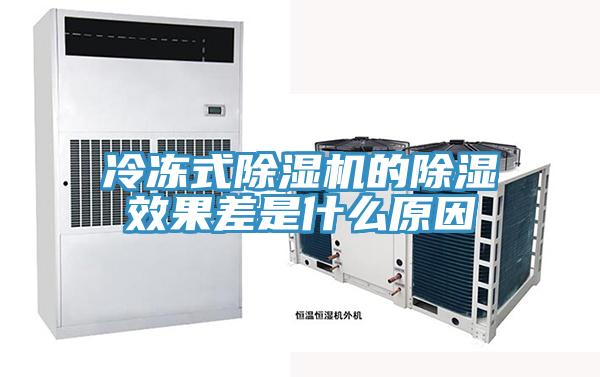 冷冻式猫咪成人官网的除湿效果差是什么原因