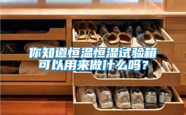 你知道恒温恒湿试验箱可以用来做什么吗？