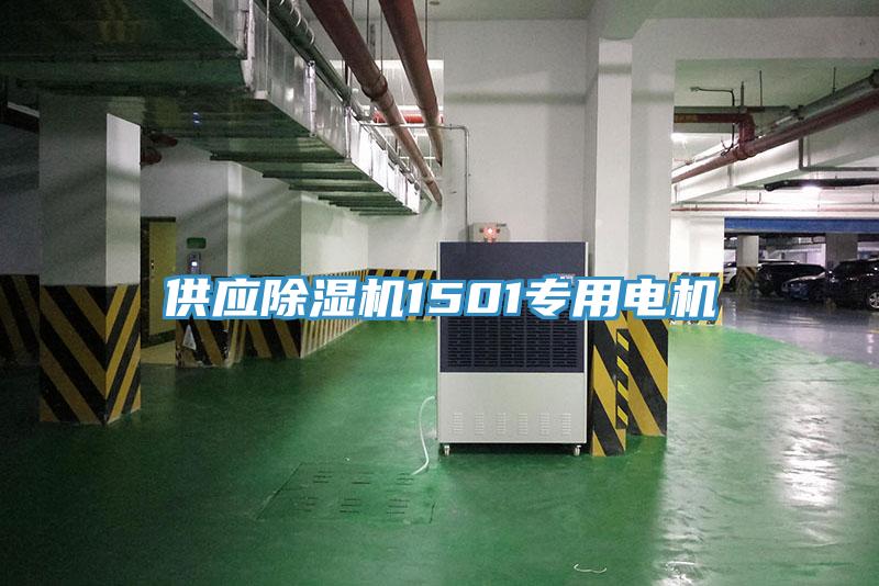 供应猫咪成人官网1501专用电机