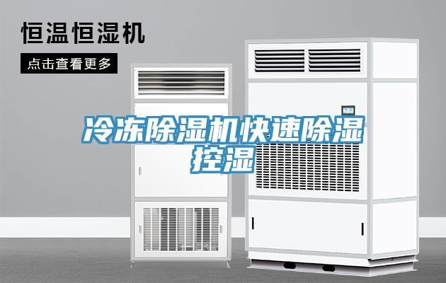 冷冻猫咪成人官网快速除湿控湿