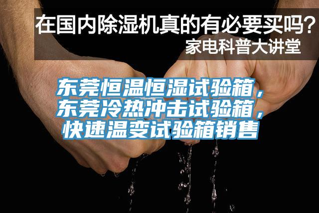 东莞恒温恒湿试验箱，东莞冷热冲击试验箱，快速温变试验箱销售