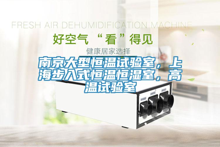 南京大型恒温试验室，上海步入式恒温恒湿室，高温试验室