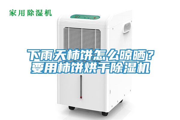 下雨天柿饼怎么晾晒？要用柿饼烘干猫咪成人官网