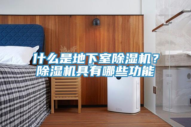 什么是地下室猫咪成人官网？猫咪成人官网具有哪些功能