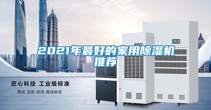 2021年最好的家用猫咪成人官网推荐