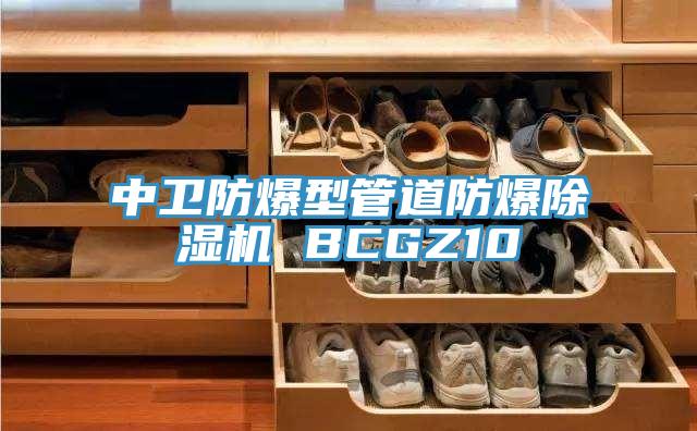 中卫防爆型管道防爆猫咪成人官网 BCGZ10