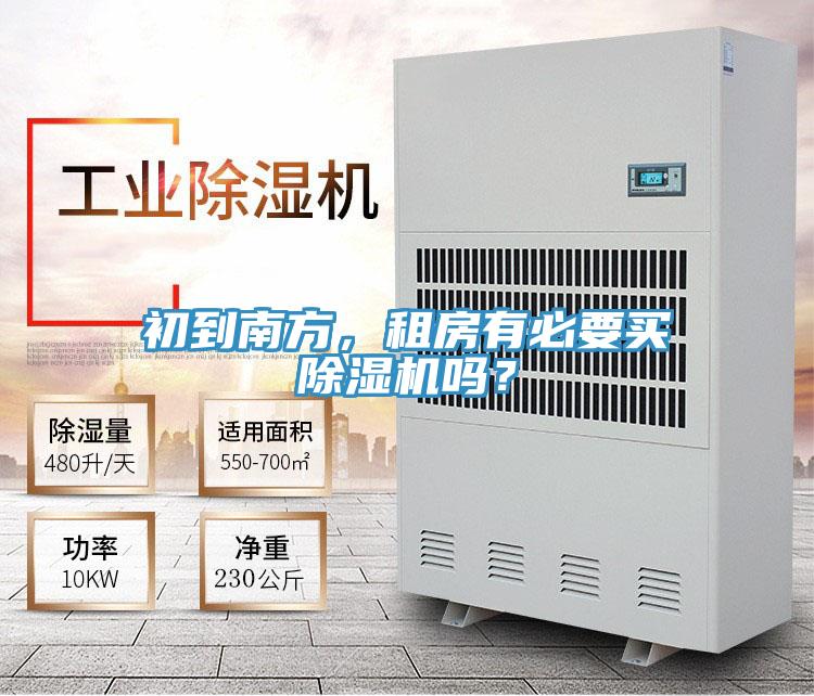 初到南方，租房有必要买猫咪成人官网吗？