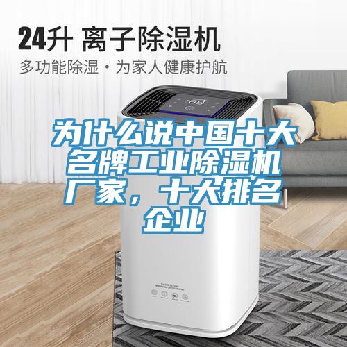 为什么说中国十大名牌工业猫咪成人官网厂家，十大排名企业