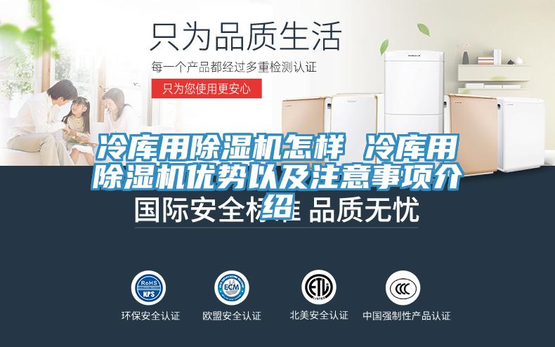 冷库用猫咪成人官网怎样 冷库用猫咪成人官网优势以及注意事项介绍