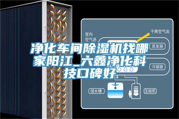 净化车间猫咪成人官网找哪家阳江_六鑫净化科技口碑好