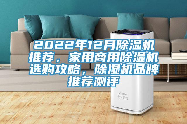 2022年12月猫咪成人官网推荐，家用商用猫咪成人官网选购攻略，猫咪成人官网品牌推荐测评