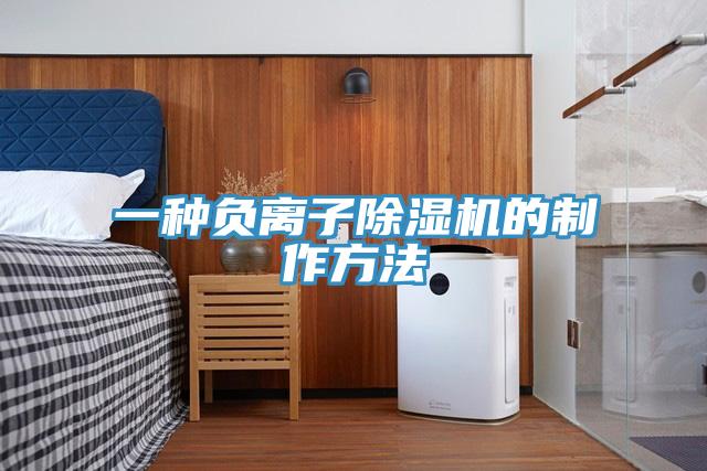 一种负离子猫咪成人官网的制作方法