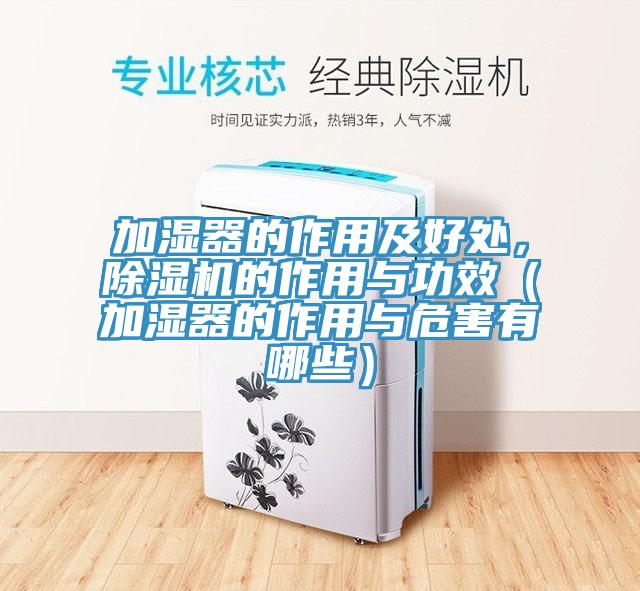 加湿器的作用及好处，猫咪成人官网的作用与功效（加湿器的作用与危害有哪些）