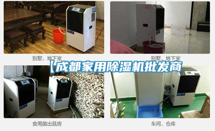 【成都家用猫咪成人官网批发商