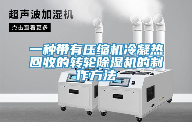 一种带有压缩机冷凝热回收的转轮猫咪成人官网的制作方法