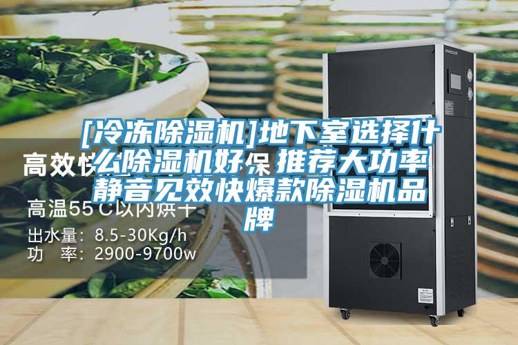 [冷冻猫咪成人官网]地下室选择什么猫咪成人官网好，推荐大功率静音见效快爆款猫咪成人官网品牌