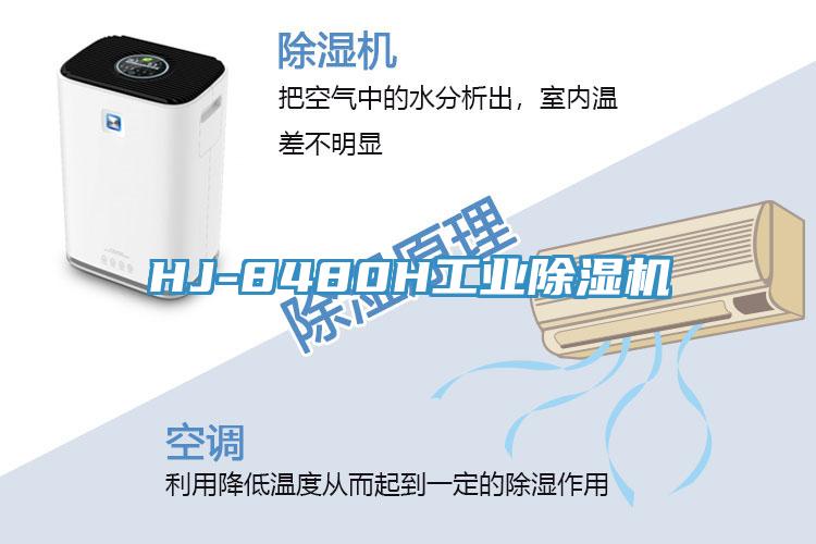 HJ-8480H工业猫咪成人官网