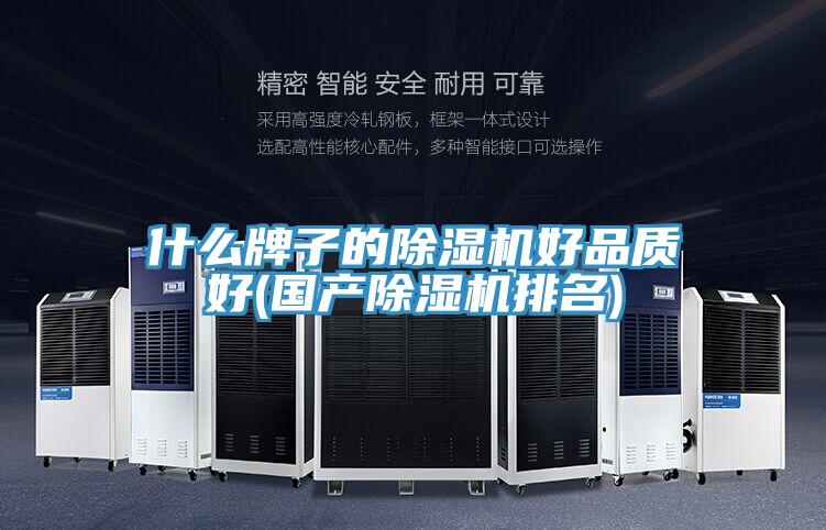 什么牌子的猫咪成人官网好品质好(国产猫咪成人官网排名)