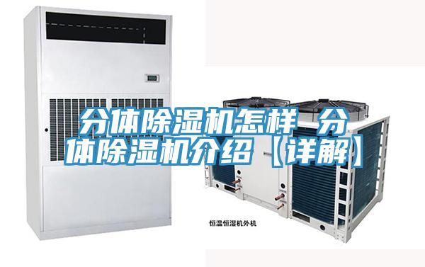 分体猫咪成人官网怎样 分体猫咪成人官网介绍【详解】