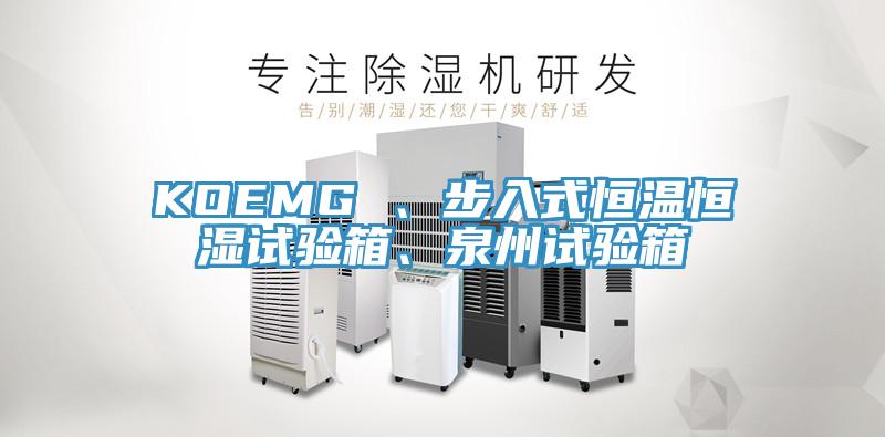 KOEMG 、步入式恒温恒湿试验箱、泉州试验箱