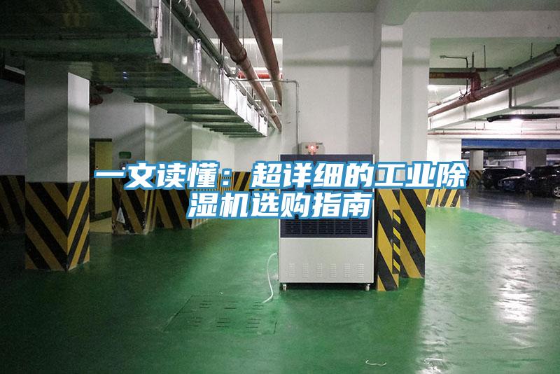 一文读懂：超详细的工业猫咪成人官网选购指南