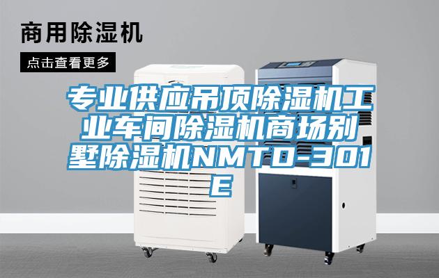 专业供应吊顶猫咪成人官网工业车间猫咪成人官网商场别墅猫咪成人官网NMTD-301E
