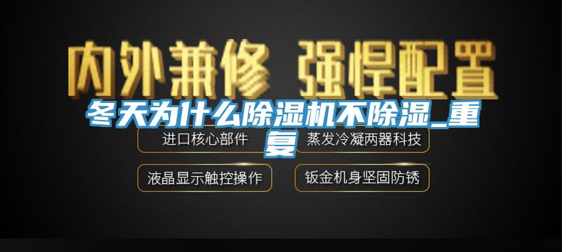 冬天为什么猫咪成人官网不除湿_重复