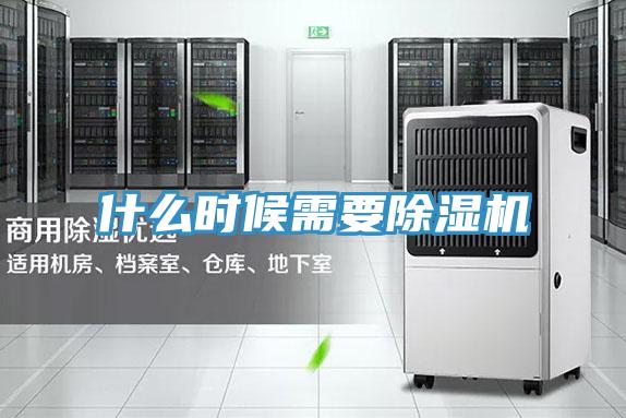 什么时候需要猫咪成人官网