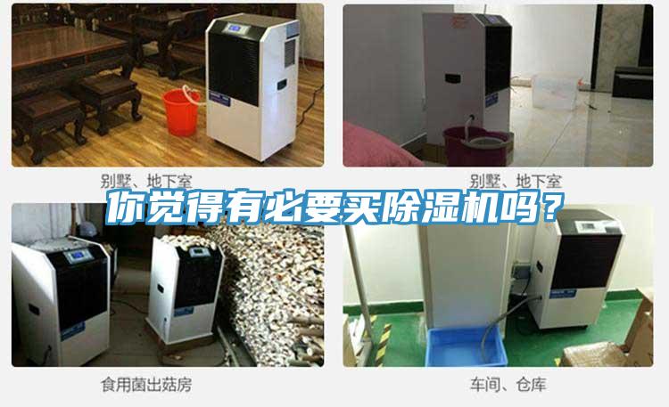 你觉得有必要买猫咪成人官网吗？