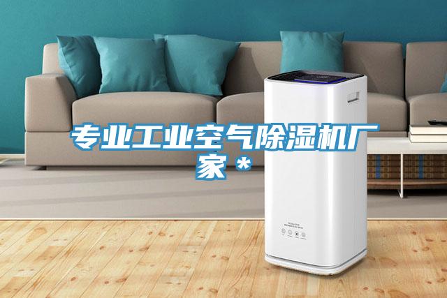 专业工业空气猫咪成人官网厂家＊