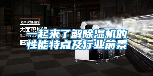 一起来了解猫咪成人官网的性能特点及行业前景