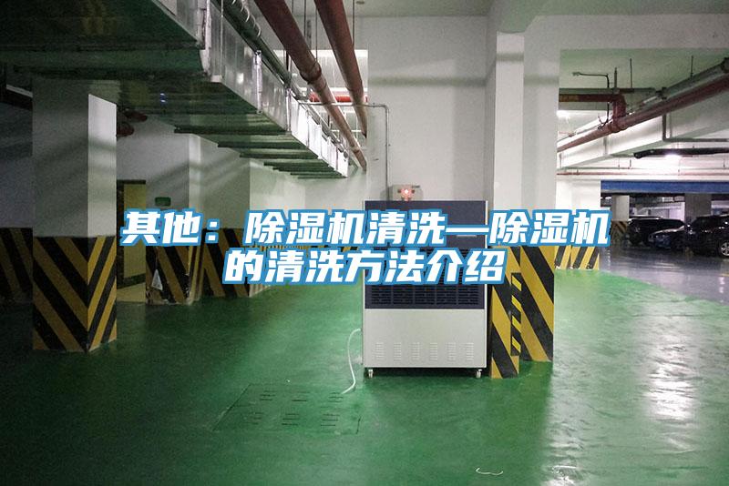 其他：猫咪成人官网清洗—猫咪成人官网的清洗方法介绍