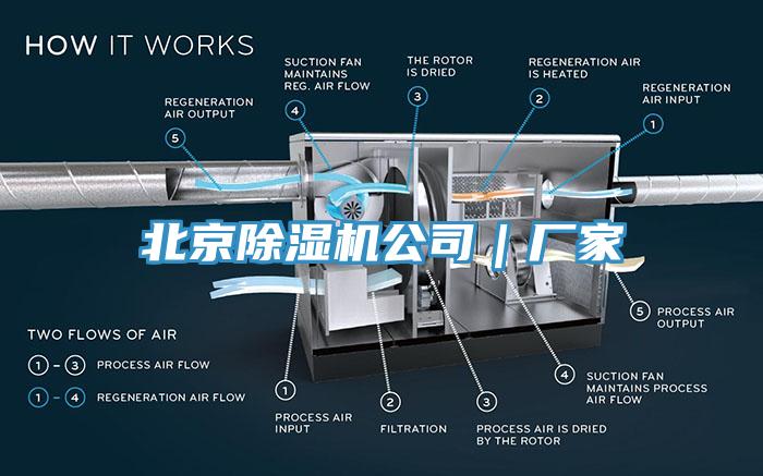 北京猫咪成人官网公司｜厂家