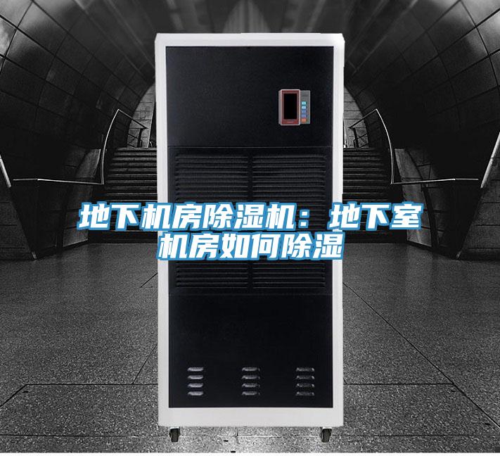 地下机房猫咪成人官网：地下室机房如何除湿