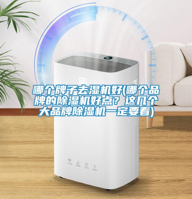 哪个牌子去湿机好(哪个品牌的猫咪成人官网好点？这几个大品牌猫咪成人官网一定要看)