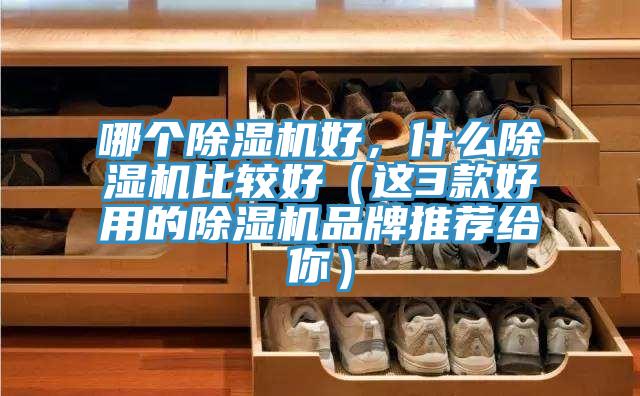 哪个猫咪成人官网好，什么猫咪成人官网比较好（这3款好用的猫咪成人官网品牌推荐给你）
