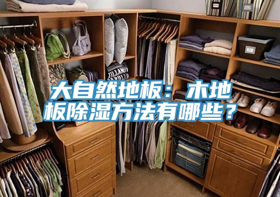 大自然地板：木地板除湿方法有哪些？