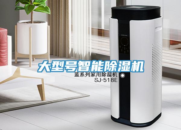 大型号智能猫咪成人官网