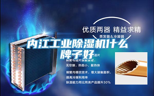 内江工业猫咪成人官网什么牌子好