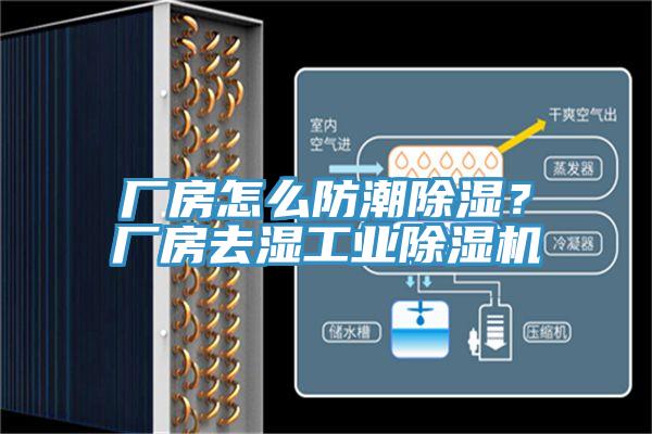 厂房怎么防潮除湿？厂房去湿工业猫咪成人官网