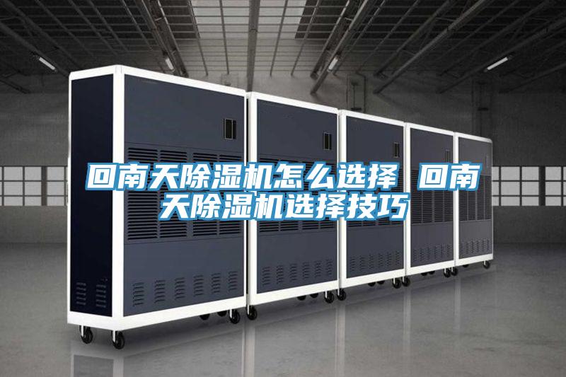 回南天猫咪成人官网怎么选择 回南天猫咪成人官网选择技巧