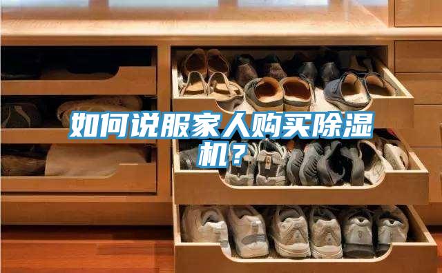 如何说服家人购买猫咪成人官网？