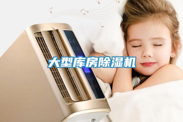 大型库房猫咪成人官网