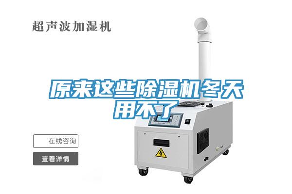原来这些猫咪成人官网冬天用不了