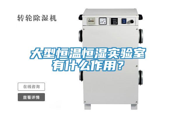 大型恒温恒湿实验室有什么作用？